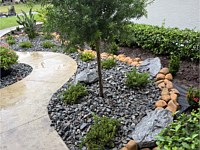 Rock in the Landscape